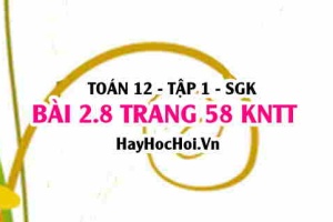 Bài 2.8 trang 58 Toán 12 tập 1 Kết nối tri thức